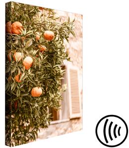 Obraz Městské ovoce (1-dílný) - mandarinkový strom na pozadí budovy