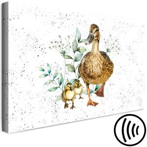 Obraz Kachní rodina - roztomilá malovaná zvířátka a rostliny na pozadí barev
