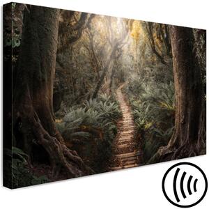 Obraz Cesta přírody - dřevěná stezka vedoucí džunglí rájem