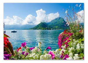 Moderní skleněný obraz z fotografie Květiny nad jezerem pl-osh-100x70-f-59006128