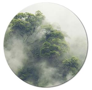 Kulatý obraz Ráno - zelený rozložitý strom zahalený v mlze