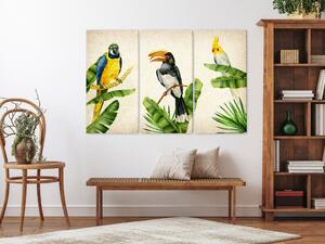 Obraz Exotický triptych (3-dílný) - barevní ptáci mezi zelenými rostlinami
