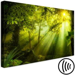 Obraz Ve slunečním světle (1-dílný) široký - zelený les ve slunečních paprscích