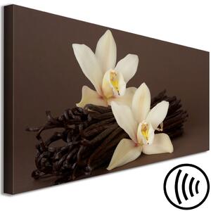 Obraz Orchidej s vanilkou (1 kus) úzká