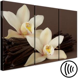 Obraz Orchidej s vanilkou (3dílná)