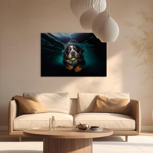 Obraz AI bernský salašnický pes - plovoucí zvíře s míčkem v tlamě - horizontální