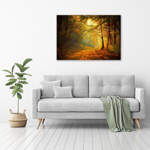 Fotoobraz na skle Podzimní les pl-osh-100x70-f-60738927