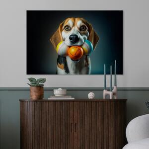 Obraz AI pes bígl - portrét mazlíčka se třemi míčky v tlamě - horizontální