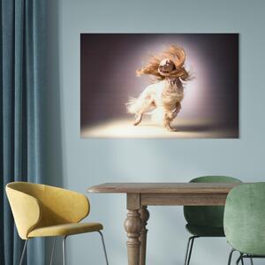 Obraz AI kokršpaněl pes - dlouhosrstý domácí mazlíček ve větru - vodorovně