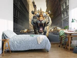 Fototapeta Městská džungle - hrozivě řvoucí tygr na ulici v New Yorku