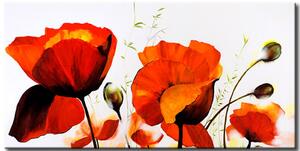 Obraz Kvete příroda (1 díl) - květinový motiv s červenými máky
