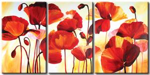 Obraz Červenost maků (3 díly) - abstraktní květinový motiv s paprsky