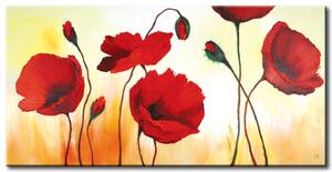 Obraz Červené makové ve slunci (1 díl) - květinový motiv s vzory
