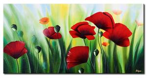 Obraz Červené makové (1 díl) - barevný květinový motiv s zelenou trávou