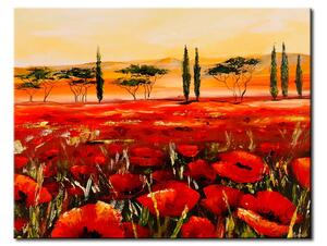 Obraz Květinové pole v Toskánsku (1 díl) - červené květy maků stromy