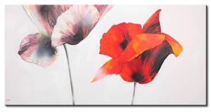 Obraz Stín bílého a červeného máku (1 díl) - květinový motiv v bílé