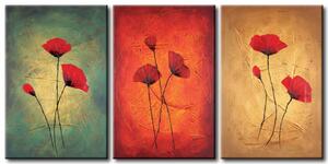 Obraz Maky s pozadím ve třech barvách (3 díly) - motiv červených květů