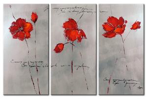 Obraz Jemnost maků (3-dílný) - šedá fantazie s květinami a nápisy