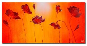 Obraz Louka máků (1-dílný) - slunečná kompozice červených květů