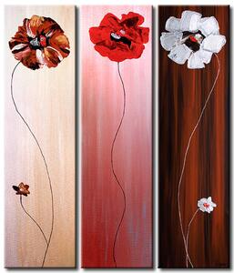 Obraz Tři máky (3-dílný) - květy na jednobarevném pozadí ve třech barvách