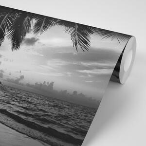 Fototapeta černobílá karibská pláž