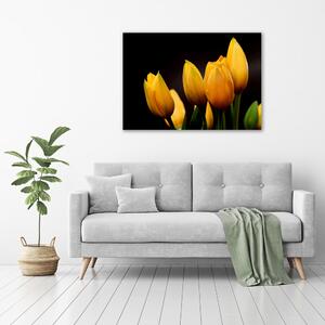 Foto obraz sklo tvrzené Žluté tulipány pl-osh-100x70-f-64836622