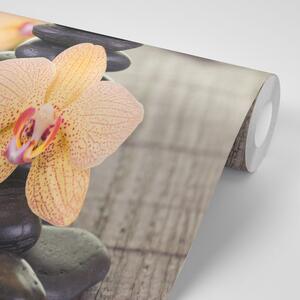 Fototapeta orchideje a Zen kameny