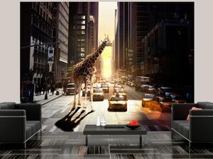 Fototapeta New York - zvířecí motiv s žirafou na pozadí městské architektury