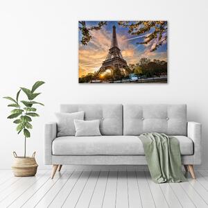 Foto obraz na plátně Eiffelova věž Paříž pl-oc-100x70-f-65117955