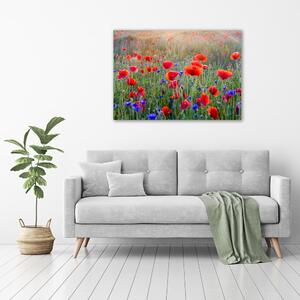 Foto obraz na plátně do obýváku Plolní květiny pl-oc-100x70-f-65959167