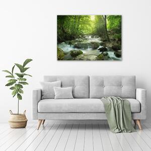 Foto obraz na plátně Vodopád v lese pl-oc-100x70-f-65985516