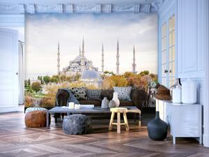 Fototapeta Hagia Sophia Istanbul - architektonické prvky, památky Turecka