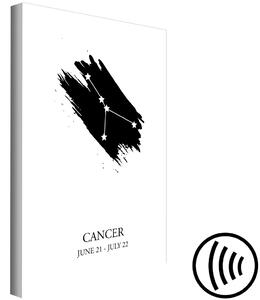 Obraz Znamení zvěrokruhu Raka (1-dílný) - Černobílý grafický motiv