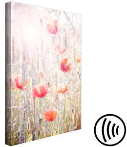 Obraz Barvy jara (1-dílný) - Kvetoucí máky na louce plné květů