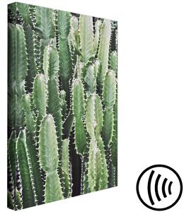 Obraz Kaktusová zahrada (1-dílná) vertikální