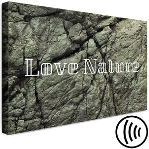 Obraz Láska k přírodě (1dílný) na šířku