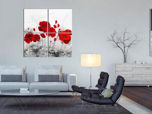 Obraz Červené máky na louce (4 díly) - Květiny na šedém pozadí přírody