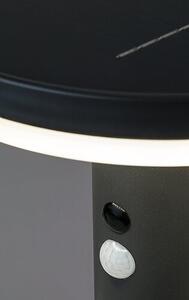 Rabalux ALASKA LED solarní lampa 77017