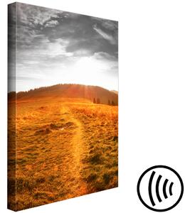 Obraz Bieszczady na slunci - fotografie hor v slunečních paprscích