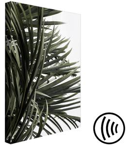 Obraz Palma v záběru (1-dílný) - exotická krajina s tropickými listy