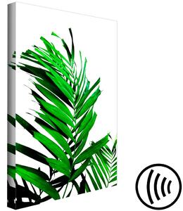 Obraz Exotická příroda (1-dílný) - zelené listy palmy na bílém pozadí