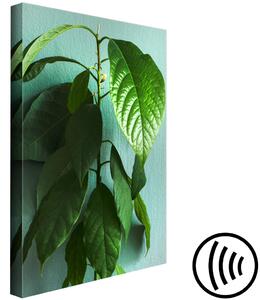 Obraz Avokádo (1-dílný) svislý - krajina zelených listů pokojové rostliny