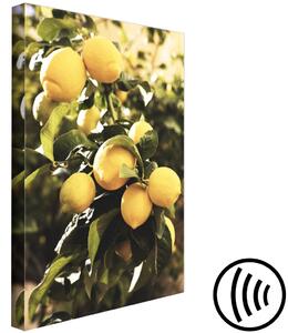 Obraz Italské citrusy (1 kus) vertikální
