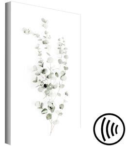 Obraz Eukalyptus Caesia (1-dílný) svislý - krajina rostlin v boho stylu
