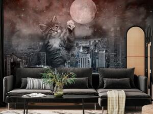 Fototapeta Zvířátko v New Yorku - kočka na měsíčním pozadí v šedých tónech