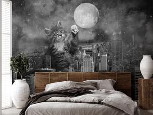 Fototapeta Zvíře v New Yorku - kočka na pozadí měsíce a města v šedých odstínech