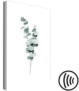 Obraz Větvičky eukalyptu - minimalistické listy rostliny na bílém pozadí