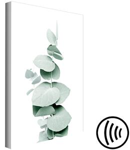 Obraz Eukalyptus - zelená makro větvička rostliny na bílém pozadí