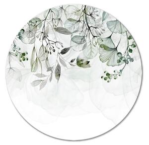 Kulatý obraz Popínavá vegetace - zelené květy, listy a plody na světlém pozadí