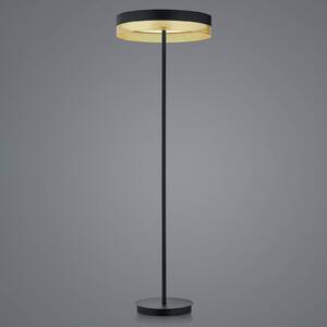 Stojací lampa LED Mesh, dotykový stmívač, černá/zlatá